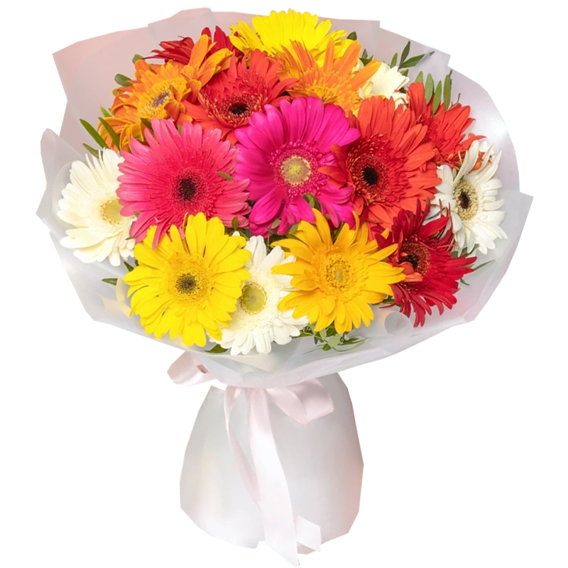 Букет из 15 цветных гербер